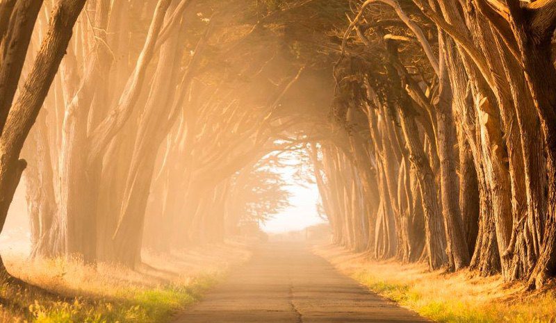 Preparing for the Mission Field: An Introduction